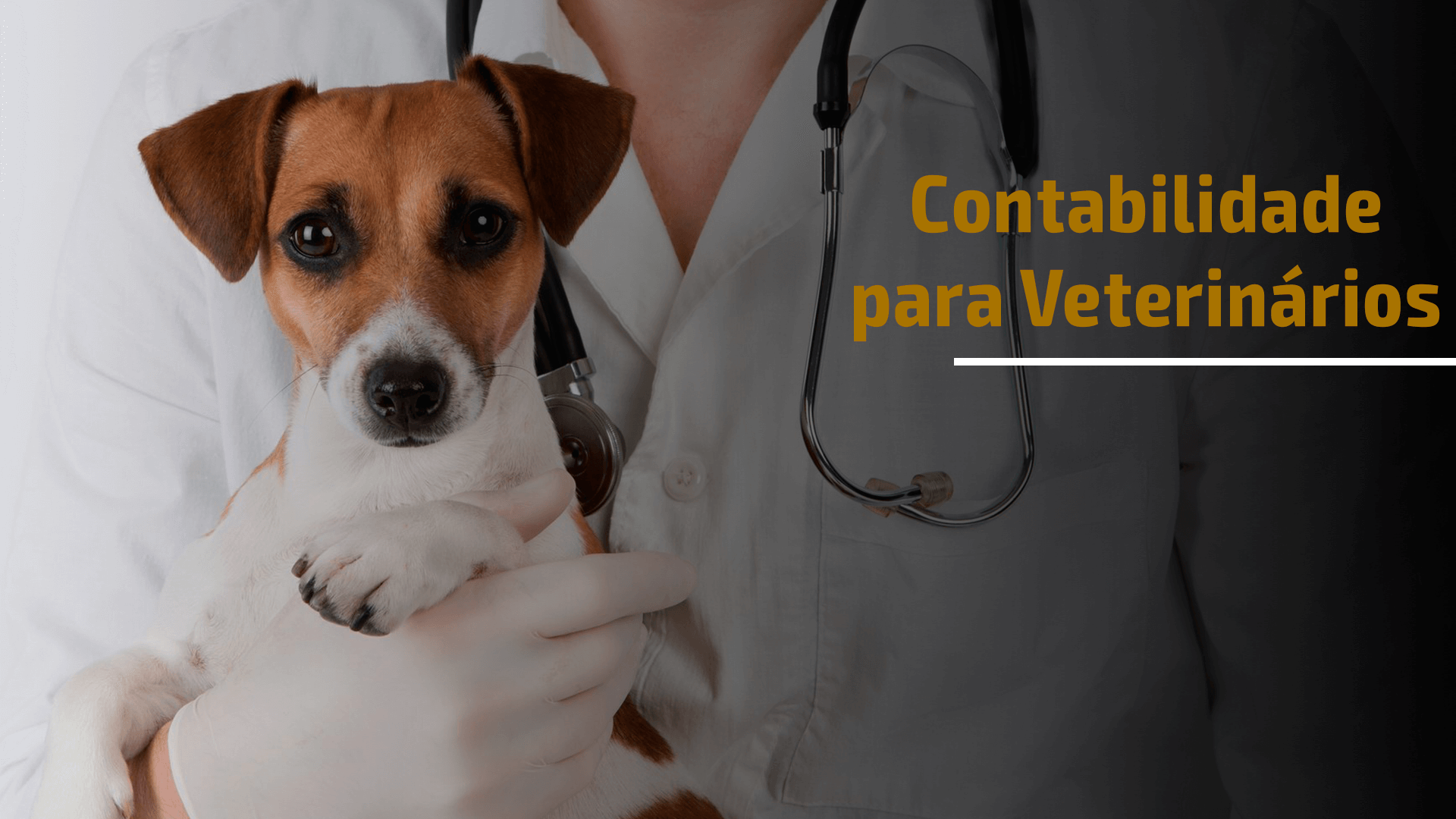 Contabilidade para Veterinários